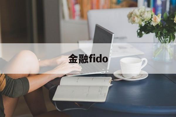 金融fido(金融fintech有风险吗)